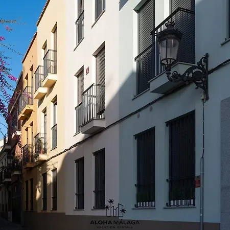 Luxury Duplex With Pool And Padel Court In Town Appartamento